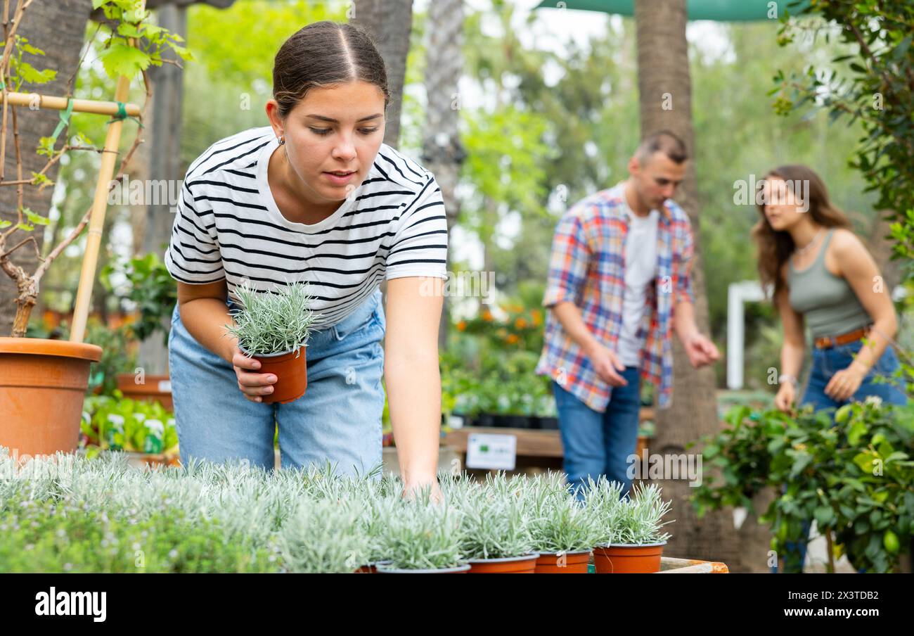 Young female customer near display case with helichrysum carefully selects pot with young seedlings. Stock Photo