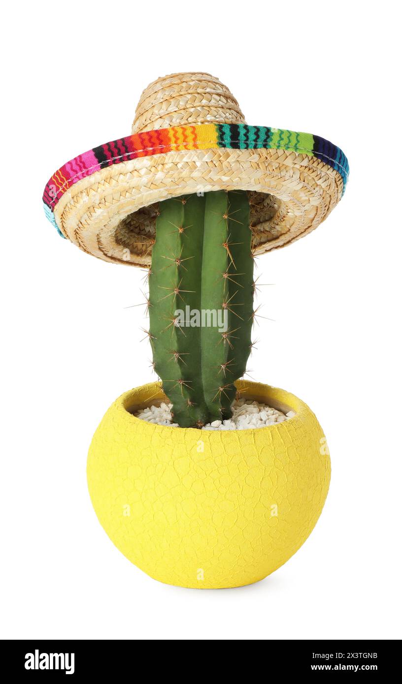 Mexican sombrero cactus hi-res stock photography and images - Alamy
