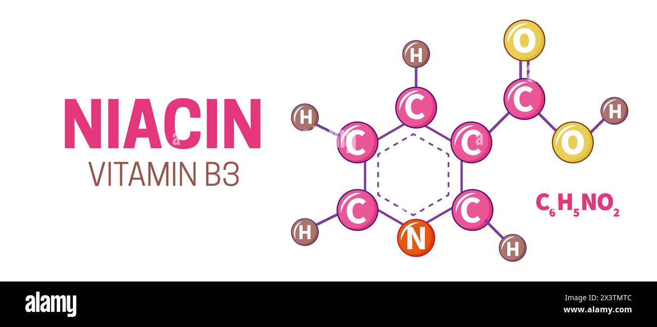 Vitamin B3 Niacin Molecule Illustration Stock Vector Image & Art Alamy