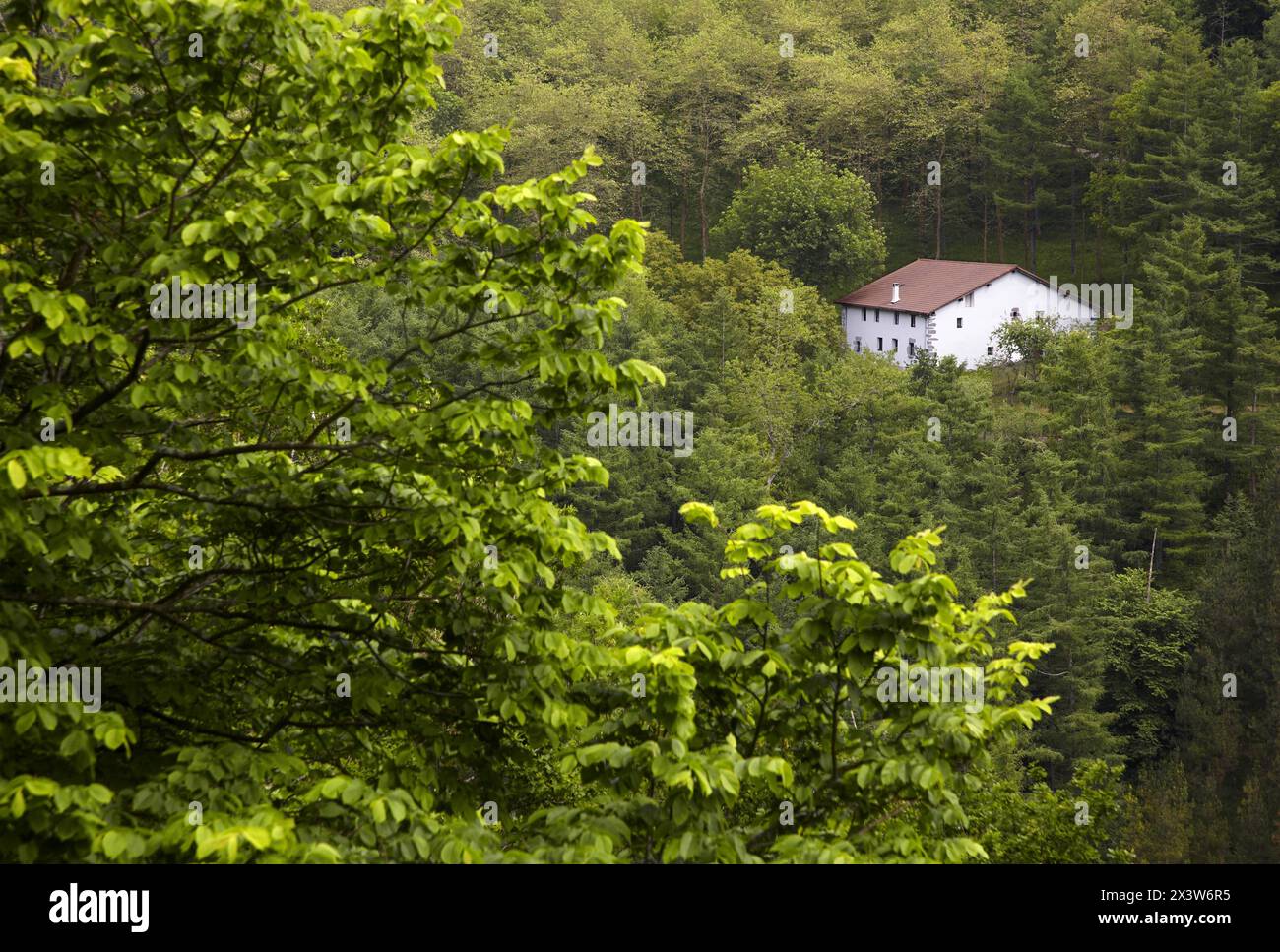 Beizama hi-res stock photography and images - Alamy