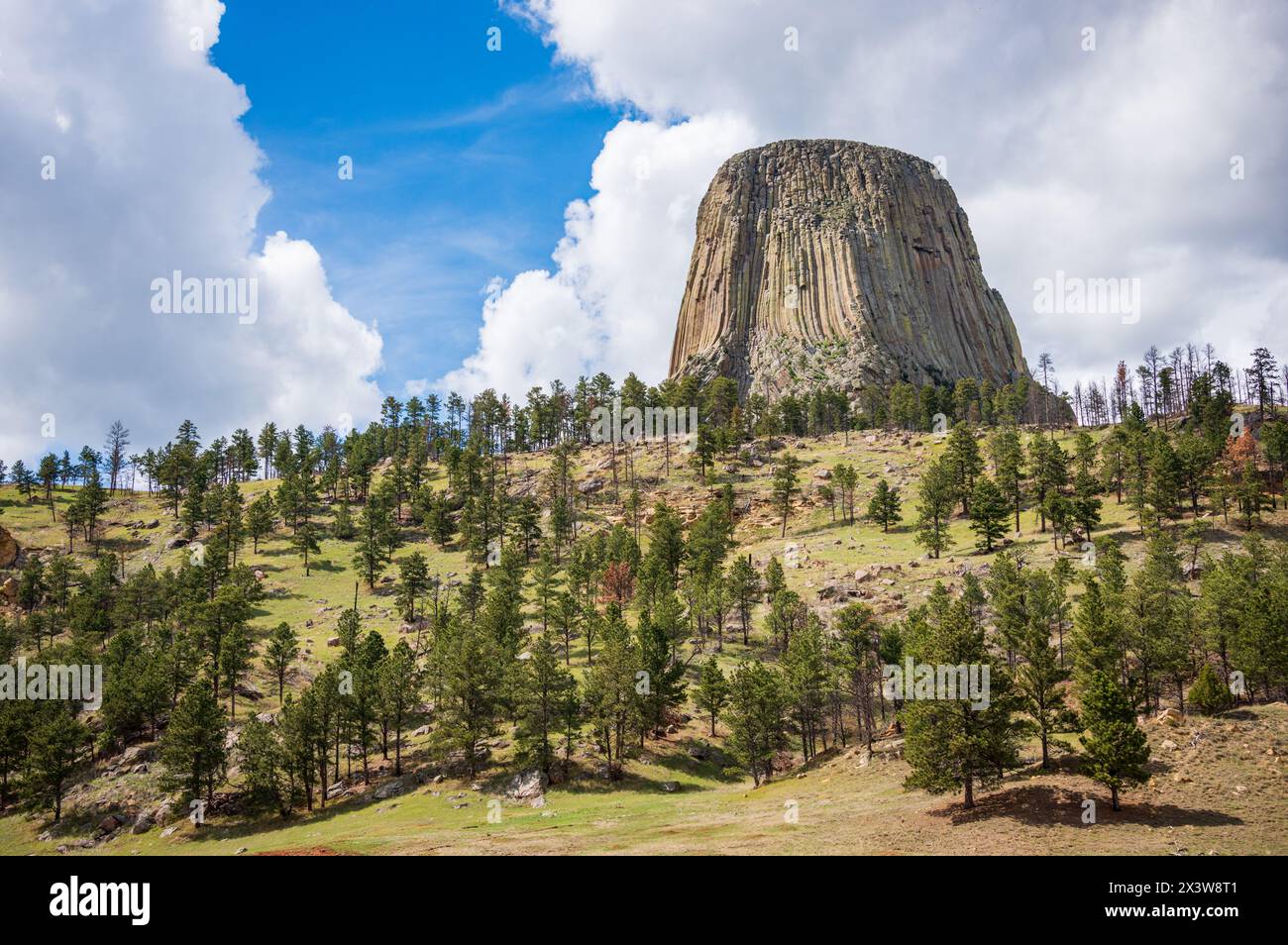 Devils Tower National Monument, Butte in Wyoming, USA Stock Photo