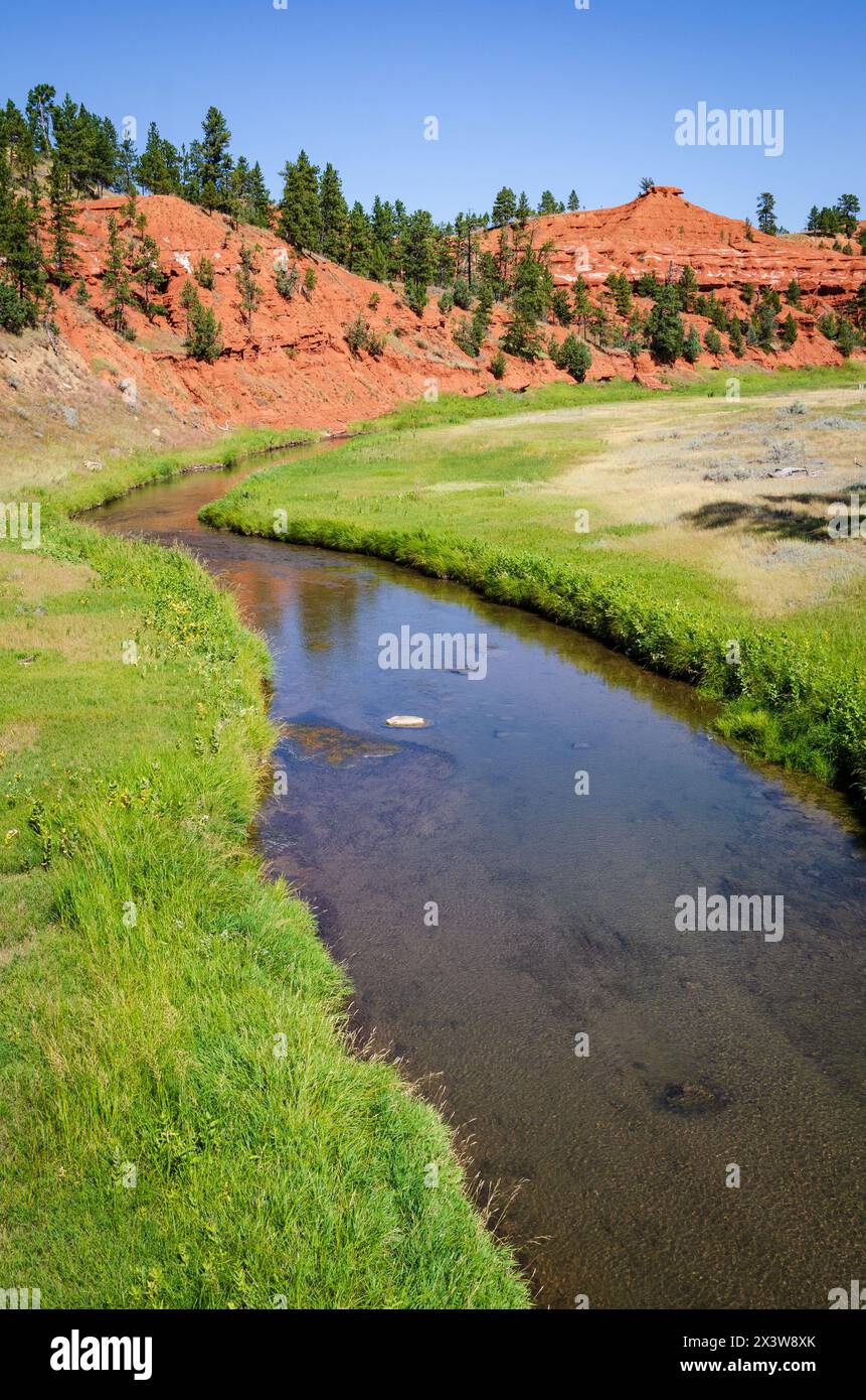 Devils Tower National Monument, Butte in Wyoming, USA Stock Photo - Alamy