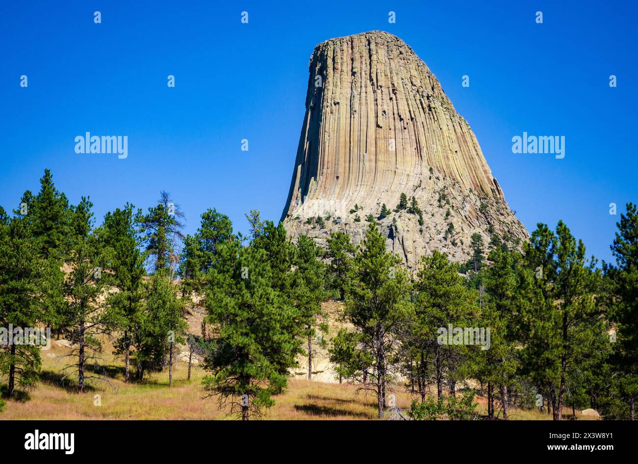 Devils Tower National Monument, Butte in Wyoming, USA Stock Photo - Alamy