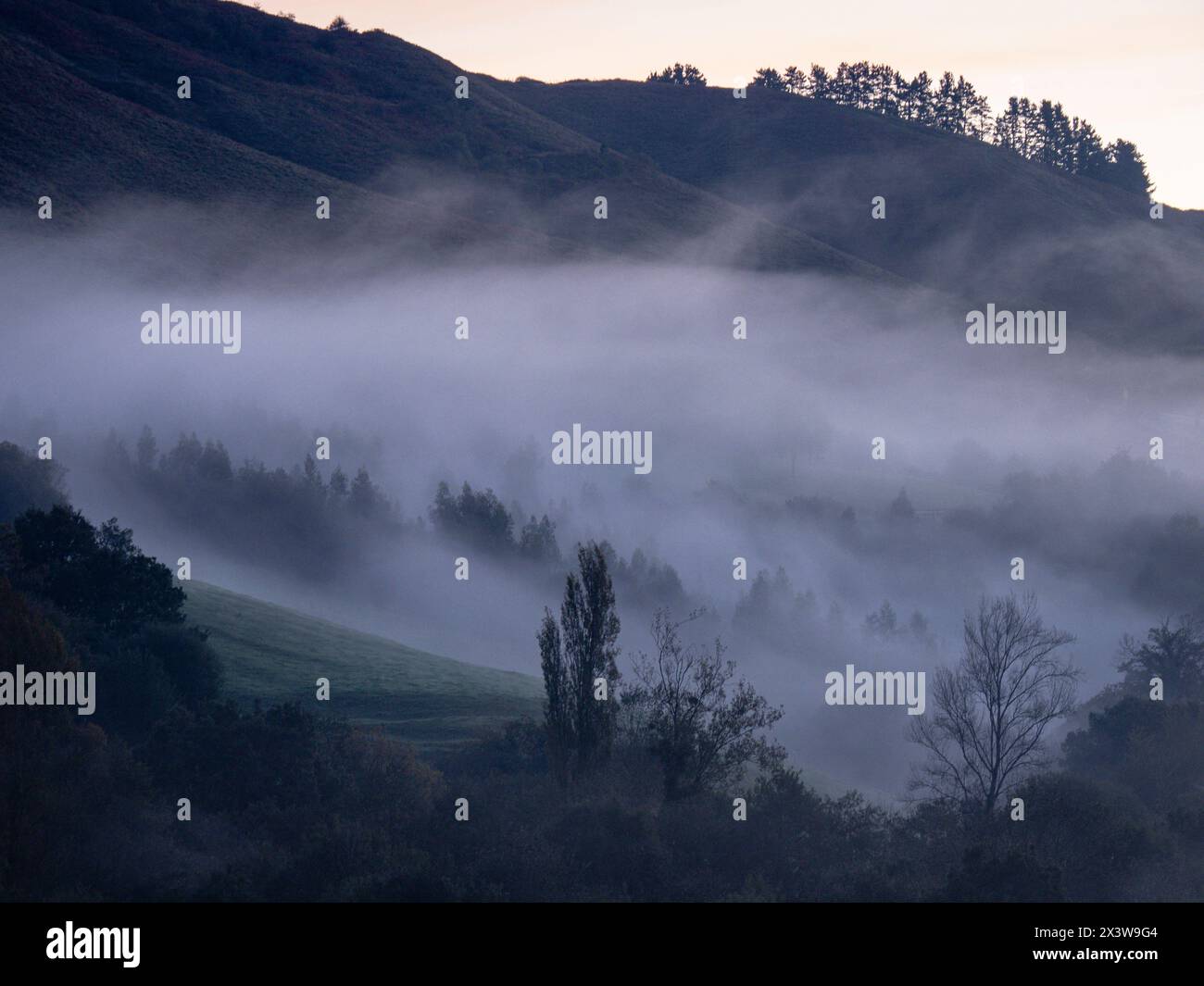niebla matutina, Ucieda, parque natural del Saja-Besaya, Cantabria, Spain Stock Photo