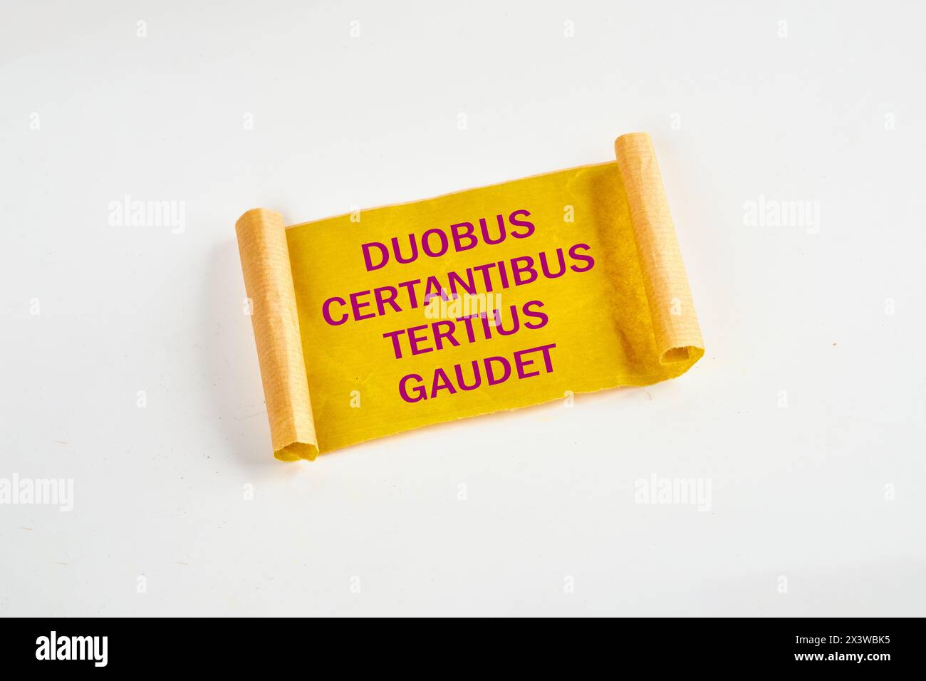 DUOBUS CERTANTIBUS TERTIUS GAUDET it means in Latin While two argue, the third rejoices. on yellow torn paper Stock Photo
