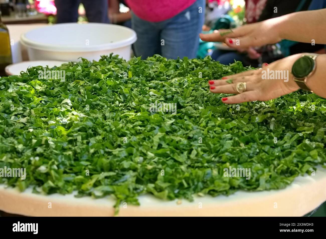Preparing soparnik traditional Croatian food dough, mangold, garlic and olive oil Stock Photo