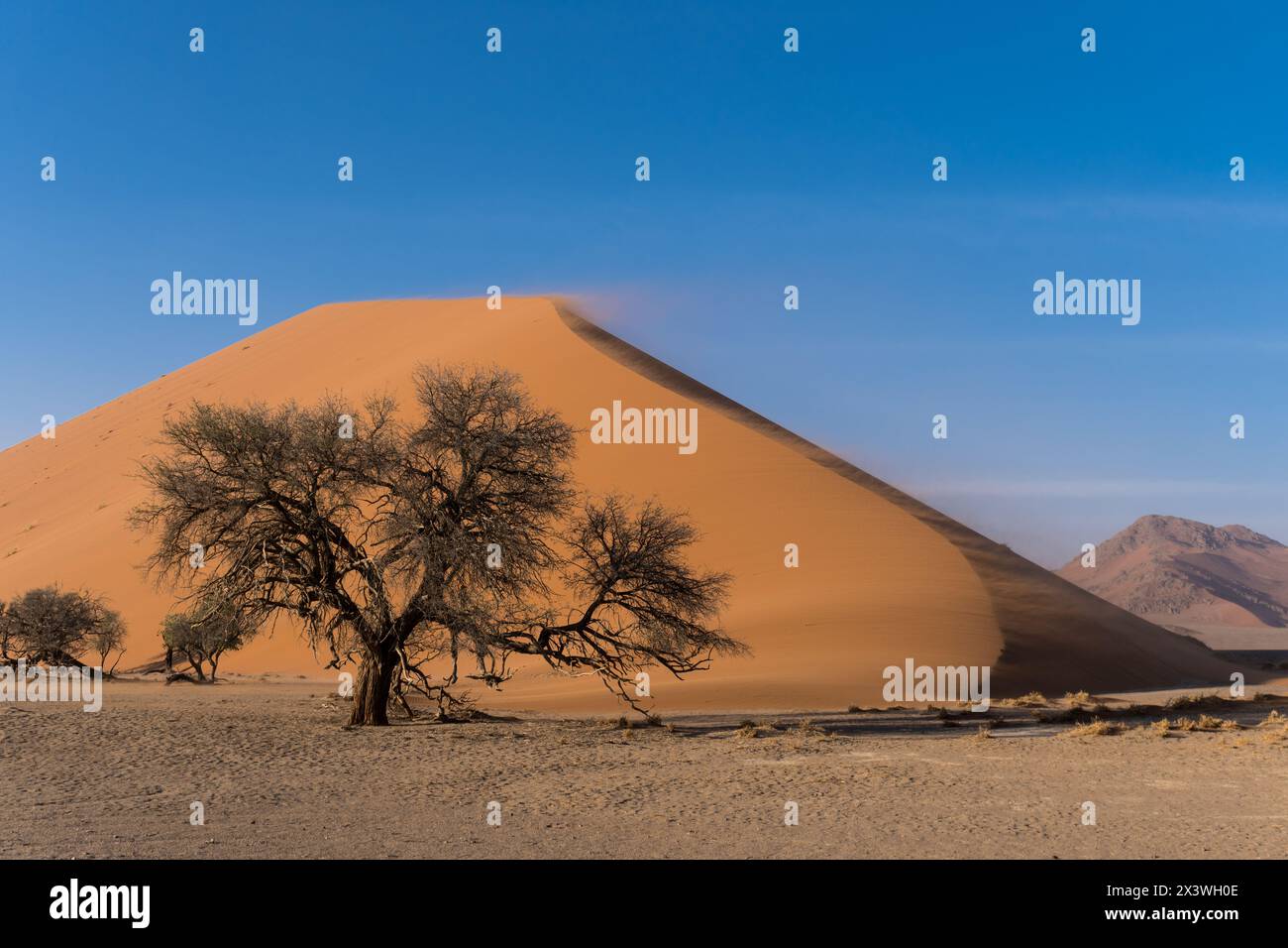 Dune 45 sossusvlei hi-res stock photography and images - Alamy