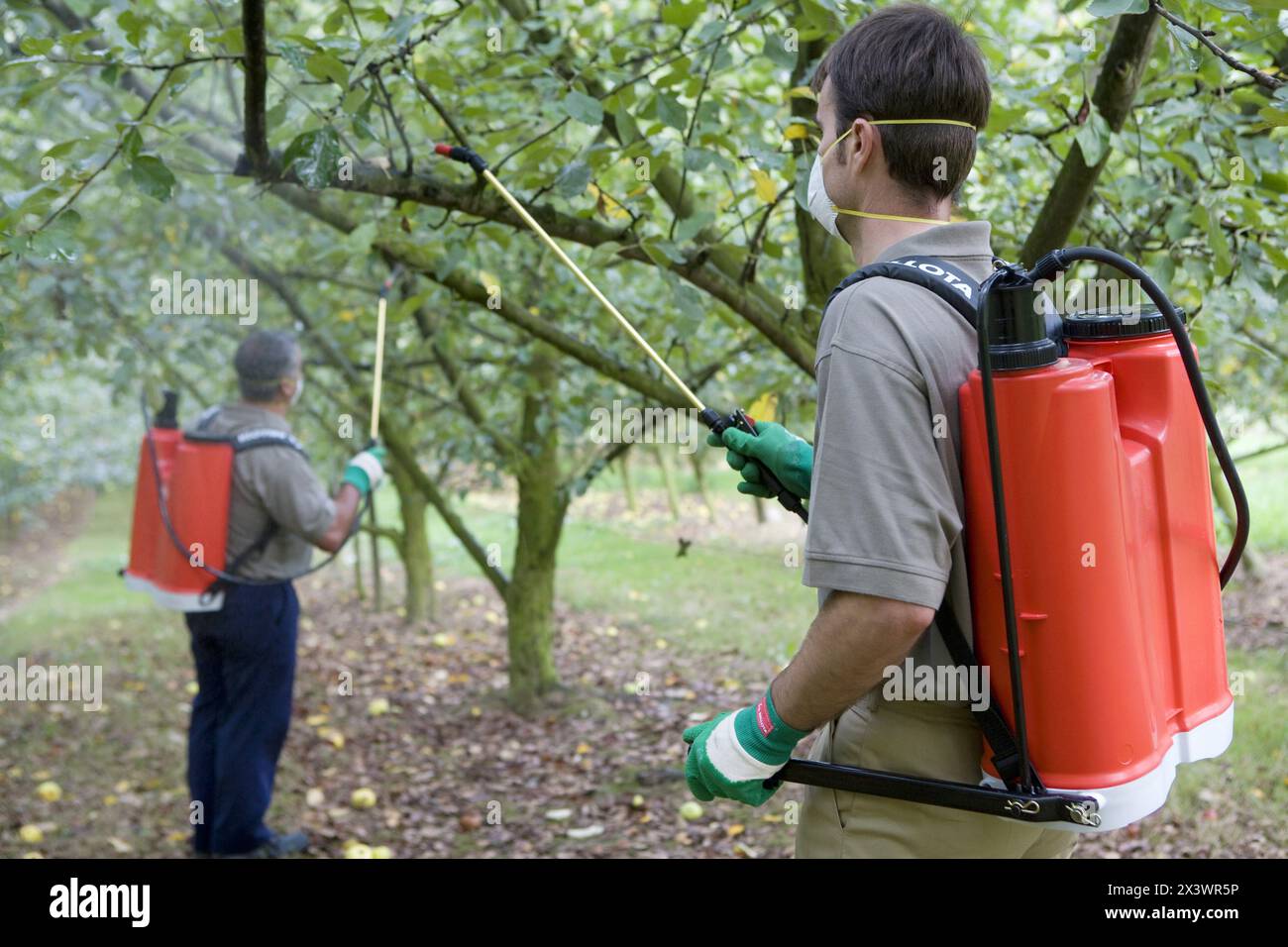 Fumigation tree hi-res stock photography and images - Alamy