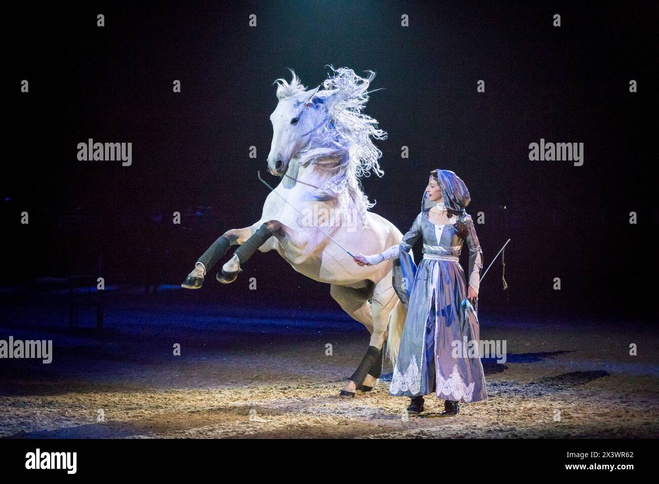 Lusitano. Alizee Froment shows the grey stallion Sultan in a liberty dressage Stock Photo
