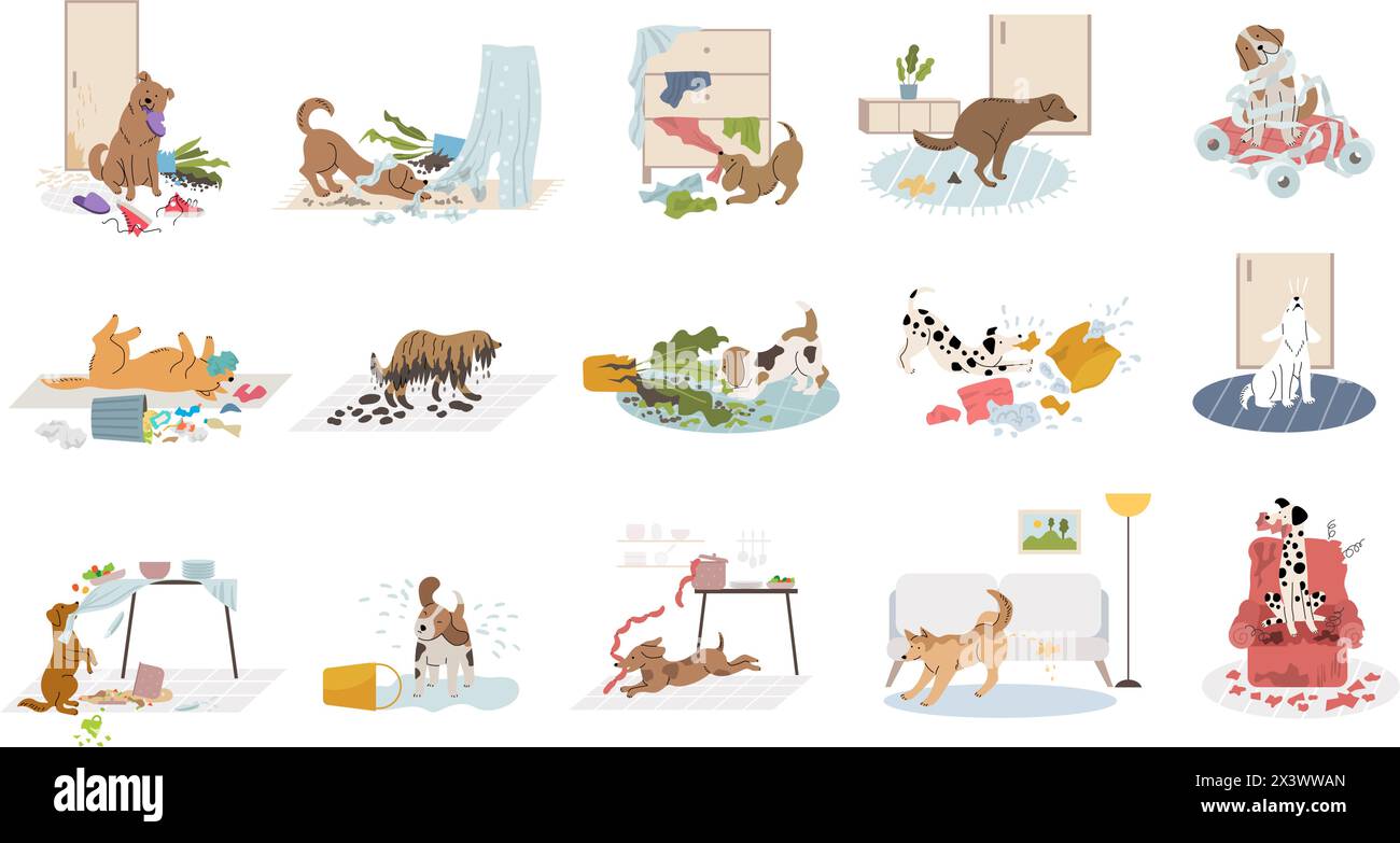 Pets making mess. Domestic dogs destroying home in interior room recent vector dogs bad bullying behavior Stock Vector