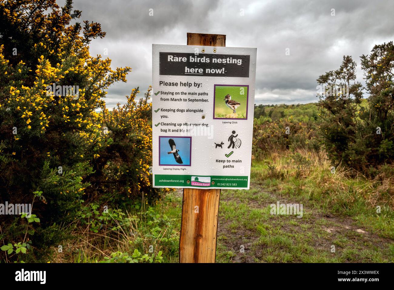 Chelwood Gate, April 29th 2024 Rare bird signage in Ashdown Forest