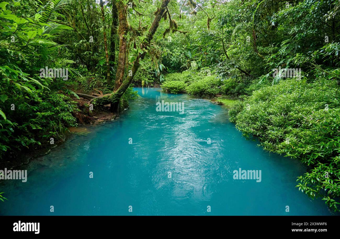 Blue river Rio Celeste, Parque Nacional Volcan Tenorio, Costa Rica Stock Photo