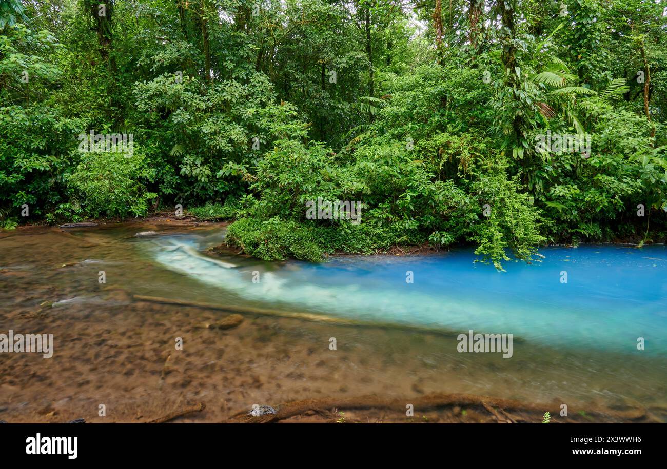At the confluence of two rivers the blue river Rio Celeste is formed, Parque Nacional Volcán Tenorio, Costa Rica, Central America Stock Photo