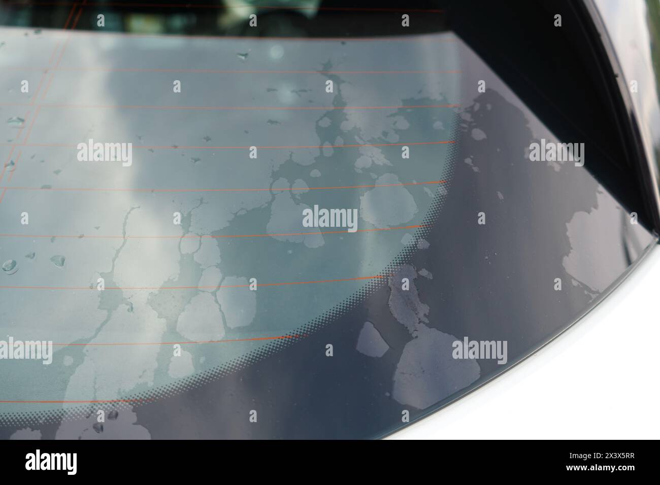 Back spots hires stock photography and images Alamy