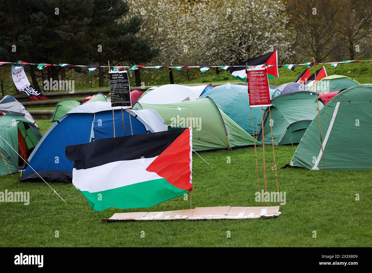 Edinburgh Scotland, UK 29 April 2024. An encampment outside the Scottish Parliament in support of Palestinians in Gaza.credit sst/alamy live news Stock Photo