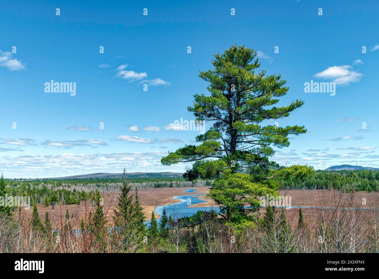 Landscape view - Maine Stock Photo - Alamy