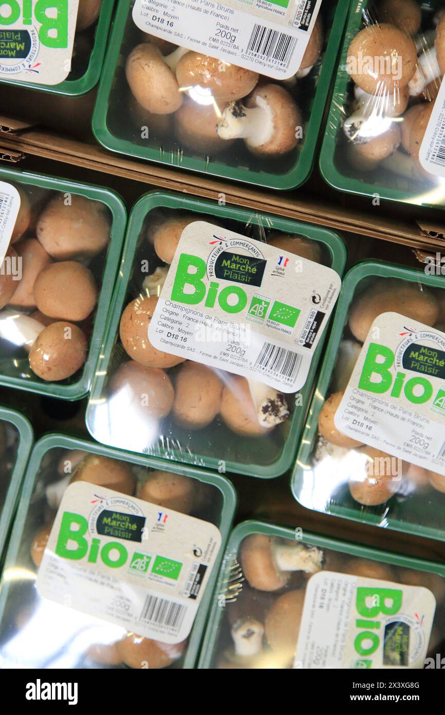 Mushrooms Stock Photo