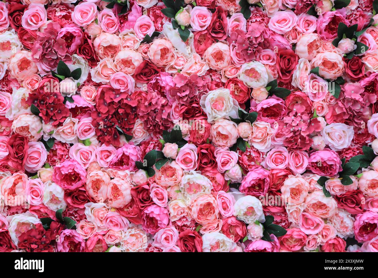 Abundance of roses hi-res stock photography and images - Alamy
