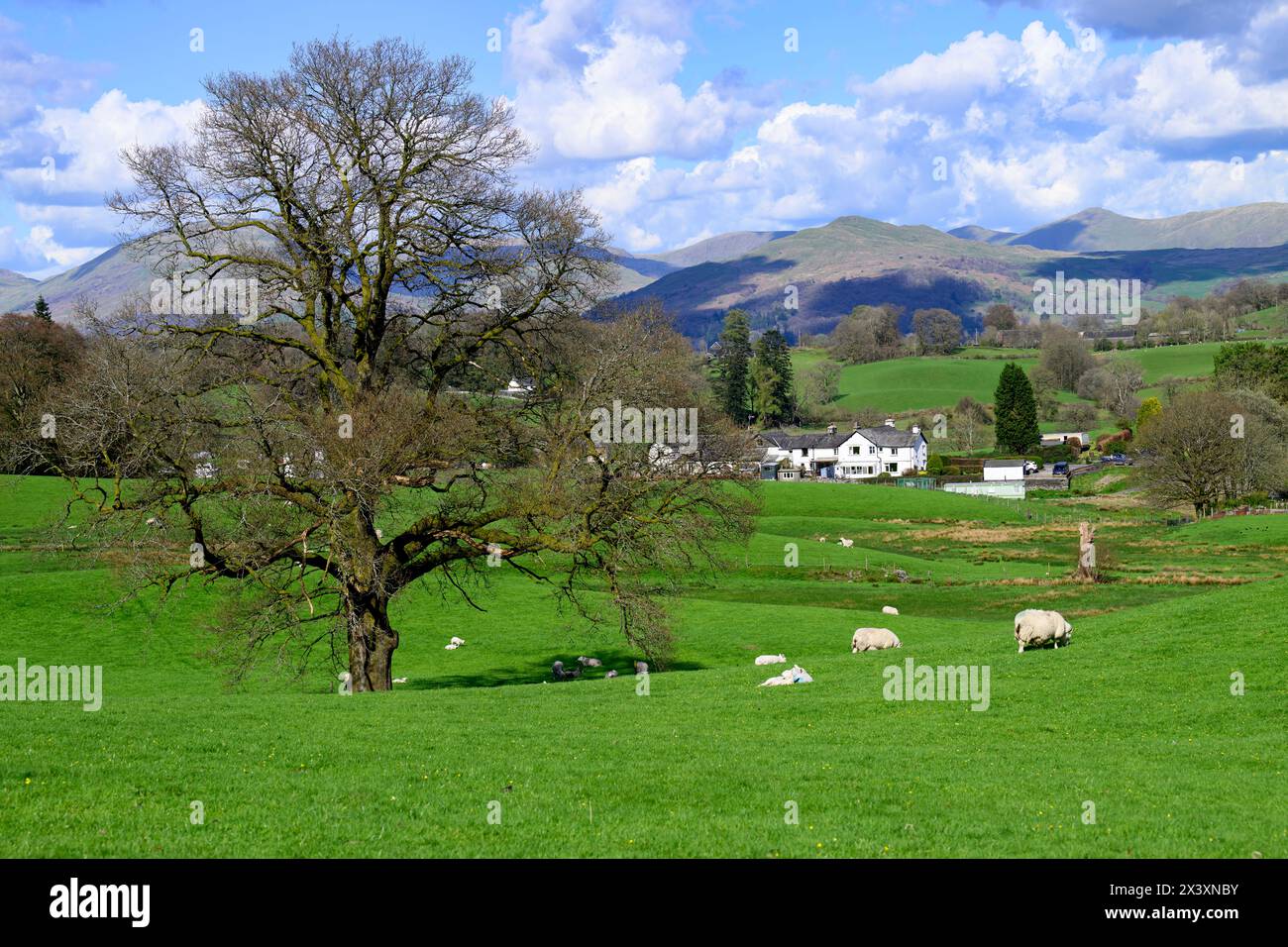 the lake district national park