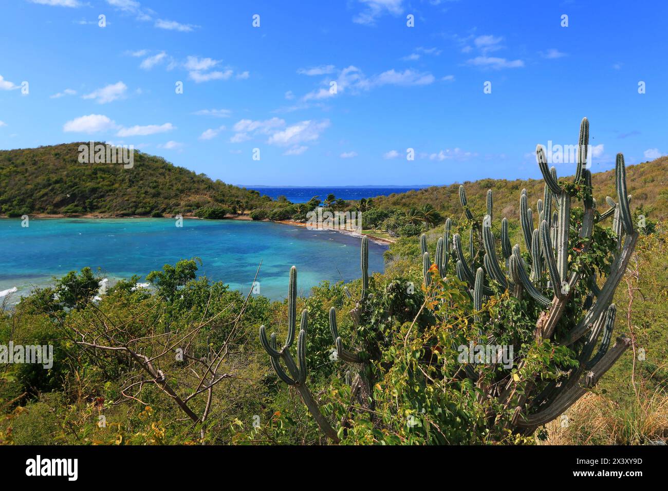 USA, Porto rico. Culebra Island Stock Photo - Alamy, image size:1300x956