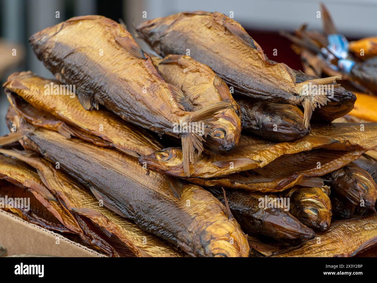 Dried and smoked lake trout fish Stock Photo