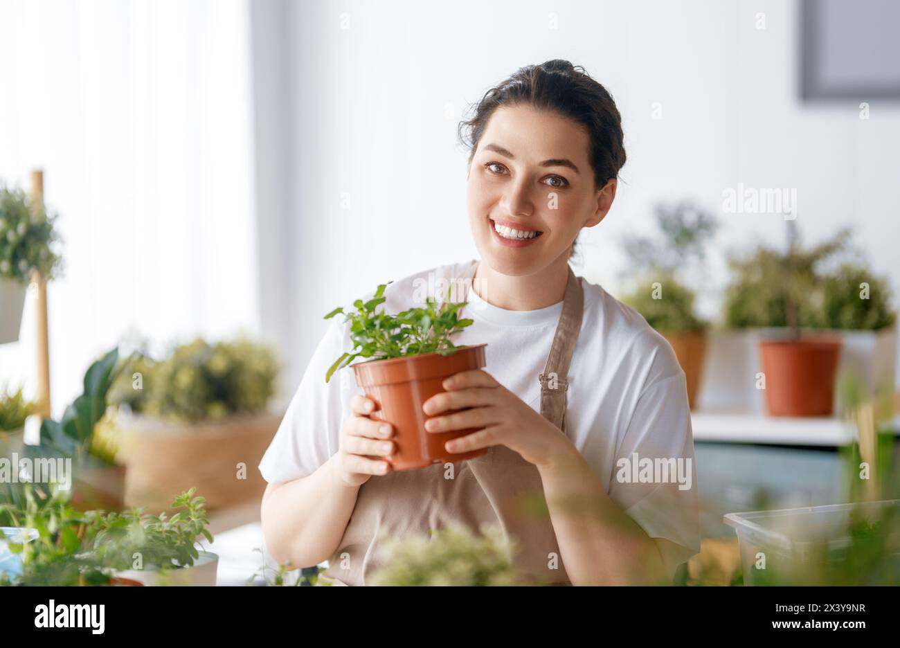 Woman caring for plants at home in spring day. Stock Photo