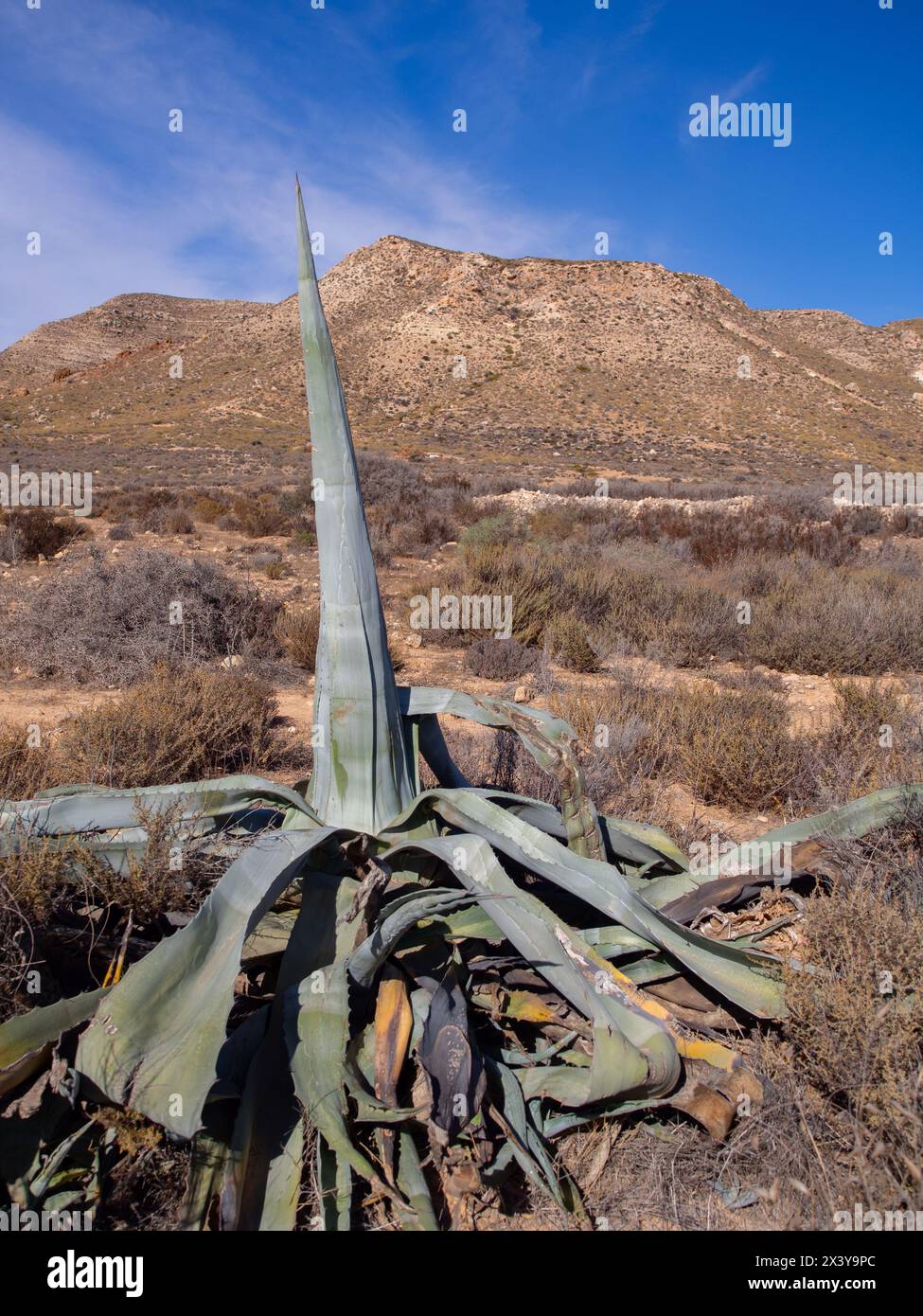 Near Playazo de Rodalquilar, Parque Natural de Cabo de Gata, in the Province of Almería, Spain. Stock Photo