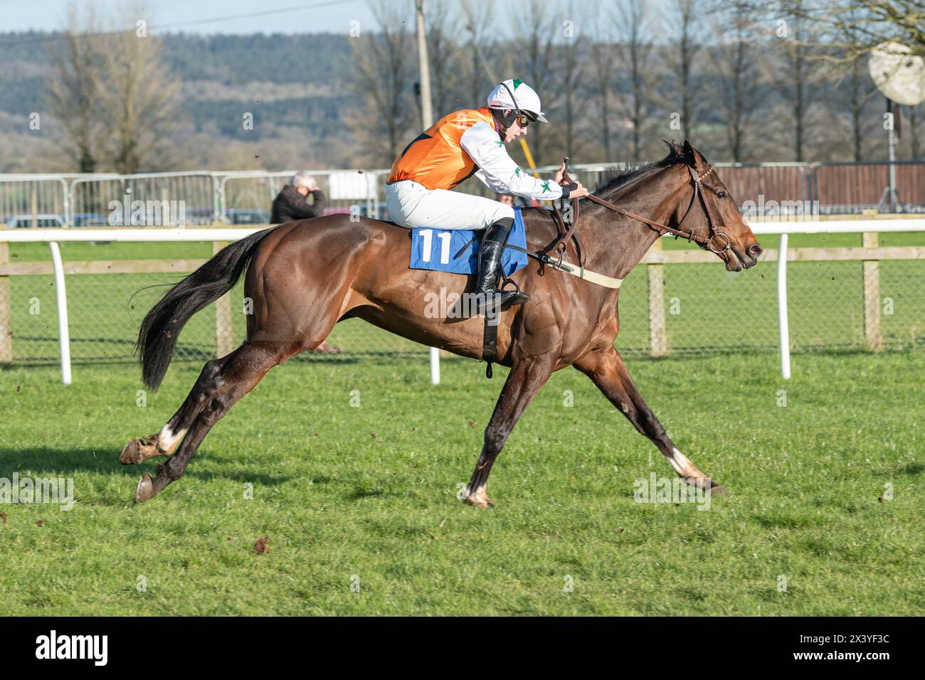 Wincanton hurdle race, Thursday, January 20th 2022 Stock Photo