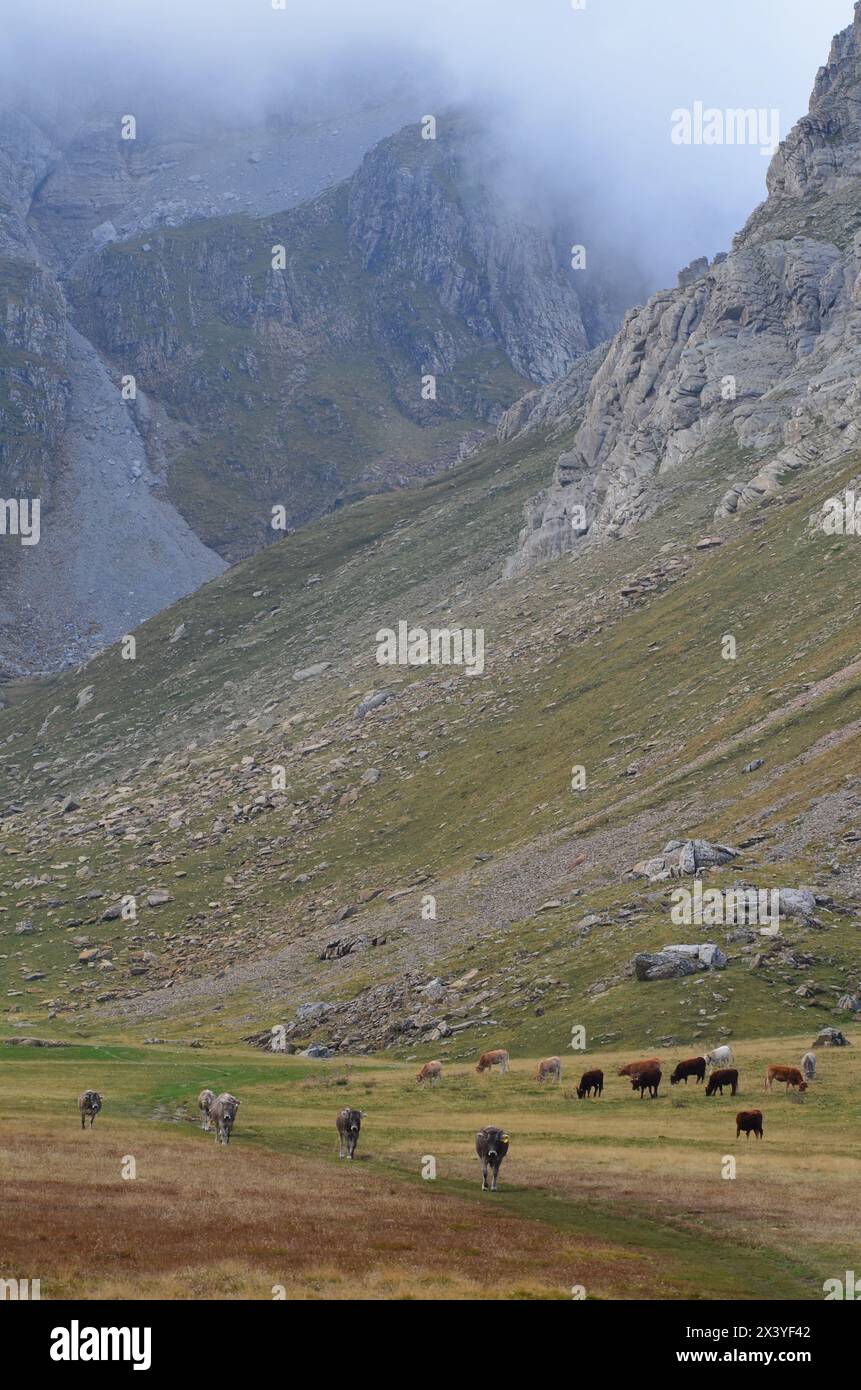 Western Valleys Natural Park in the Pyrenees of Huesca, Spain Stock Photo