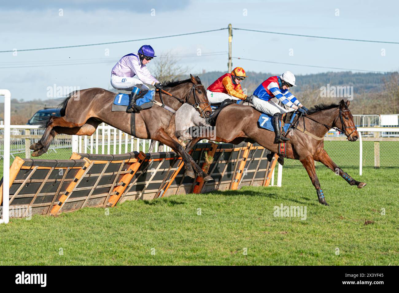 Wincanton hurdle race, Thursday, January 20th 2022 Stock Photo