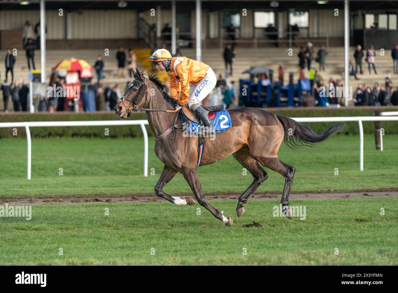Indian Racing Drake Bird Captain drake racing at wincanton hi-res stock photography and images ...