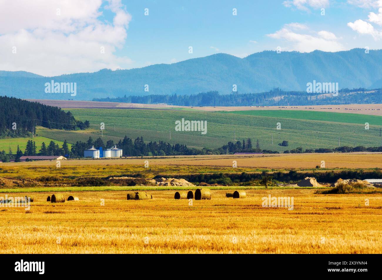 haystacks on the grassy field in slovakia. rural scenery of presov region in late summer. rolling countryside landscpee in evening light Stock Photo