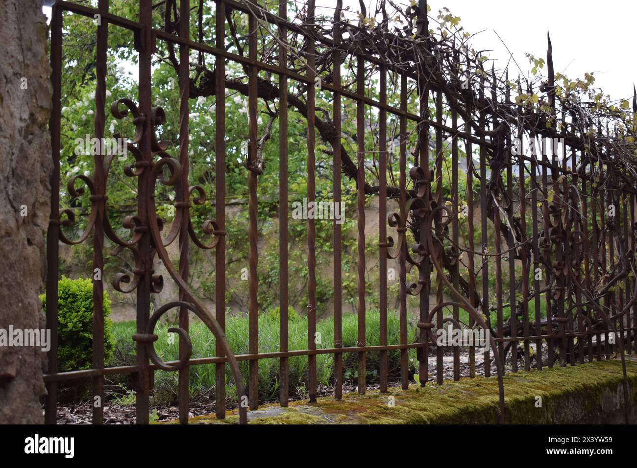 rusty iron gates Stock Photo