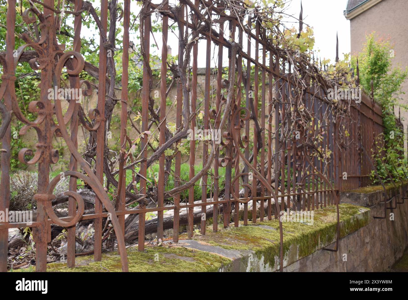rusty iron gates Stock Photo
