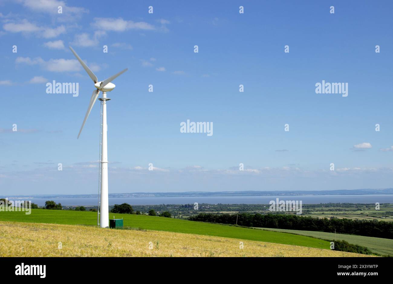 Wind turbine on hillside of barley, blue sky Bassaleg, Newport, Wales