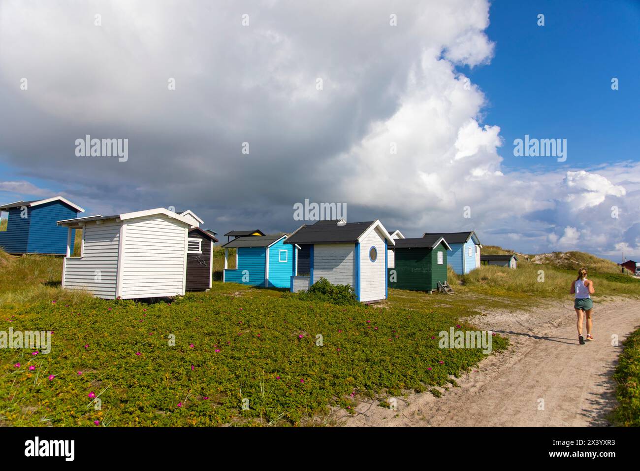 Europe, Scandinavia, Sweden. Skania. Falsterbo peninsula. Skanor. Beach ...