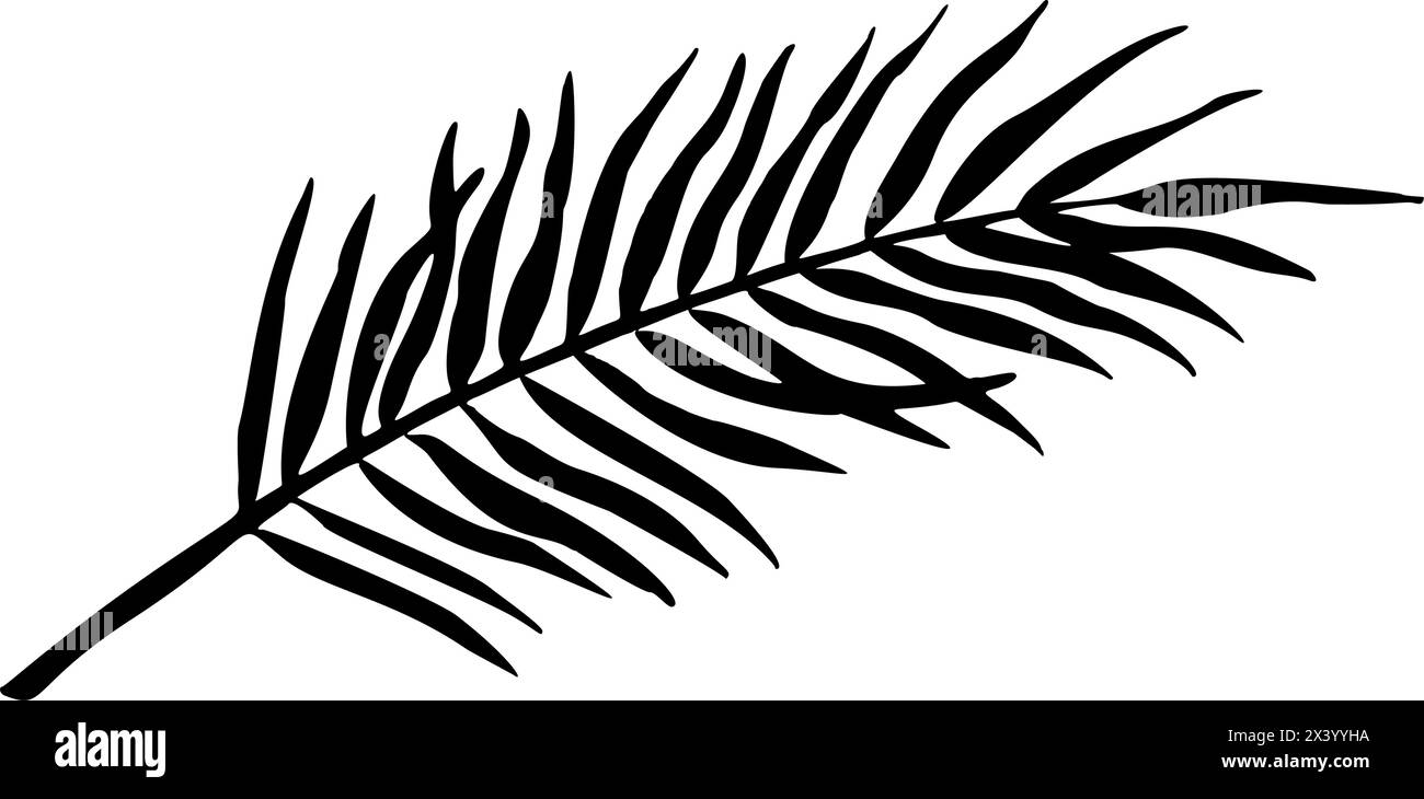 Palm Leaf vector illustration. Silhouette of branch. Jungle tropical tree in linear style on isolated background. Engraved sketch of rainforest foliage for icon or logo. Botanical painting of plant. Stock Vector