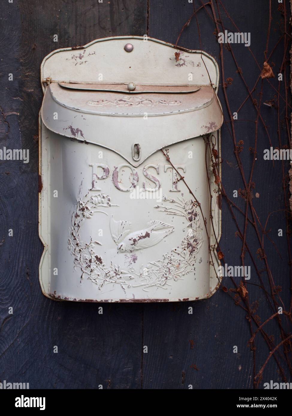 A worn white post box with a swift bird engraving on a dark door, Lourmarin, Provence, France Stock Photo