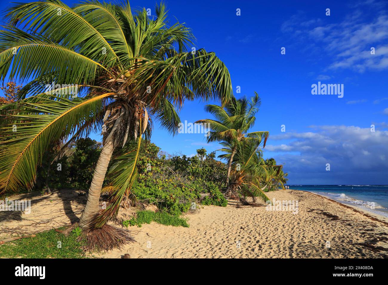 Usa, Porto rico. Culebra Island. Flamenco beach Stock Photo - Alamy, image size:1300x956
