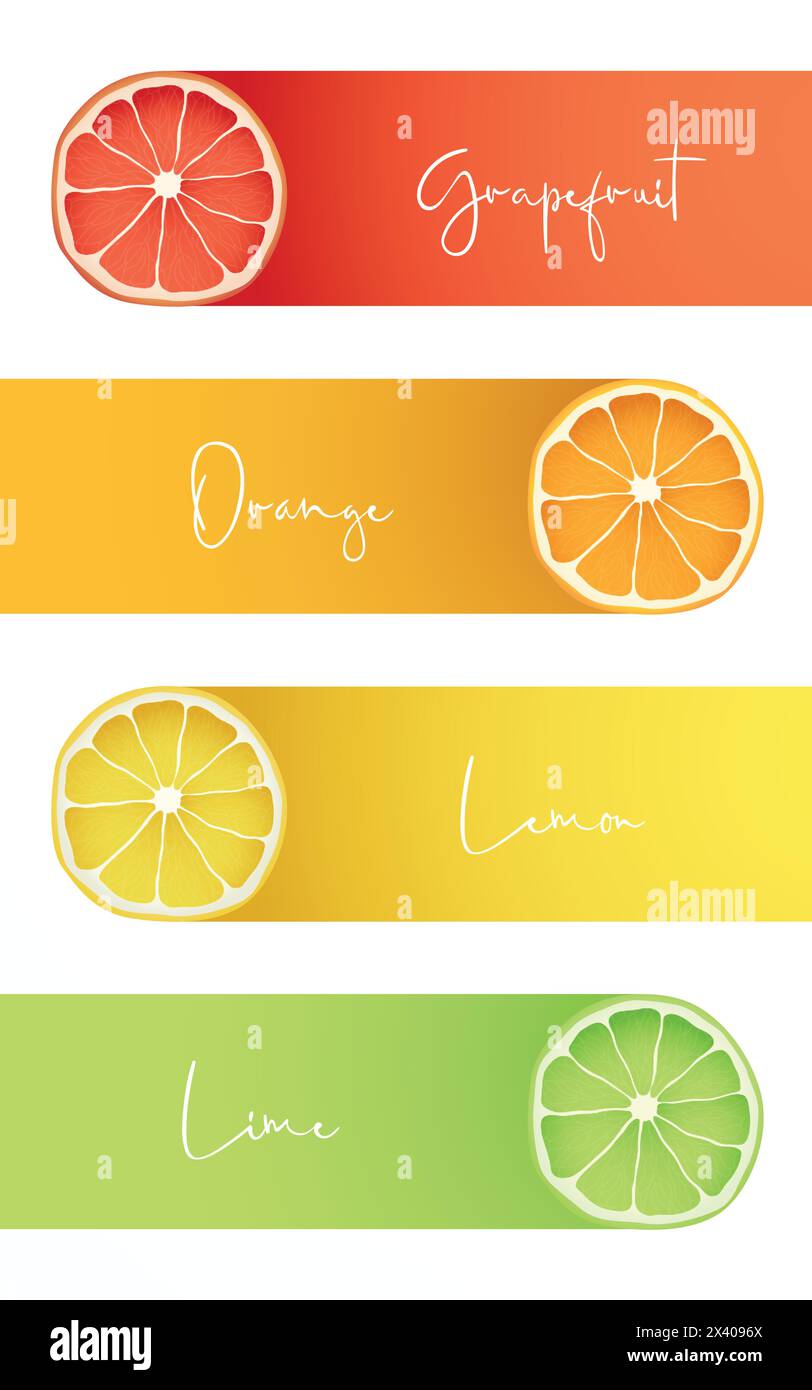Banners with fresh fruits of Grapefruit, Orange, Lemon and Lime. Elements for infographics. Stock vector illustration. Stock Vector