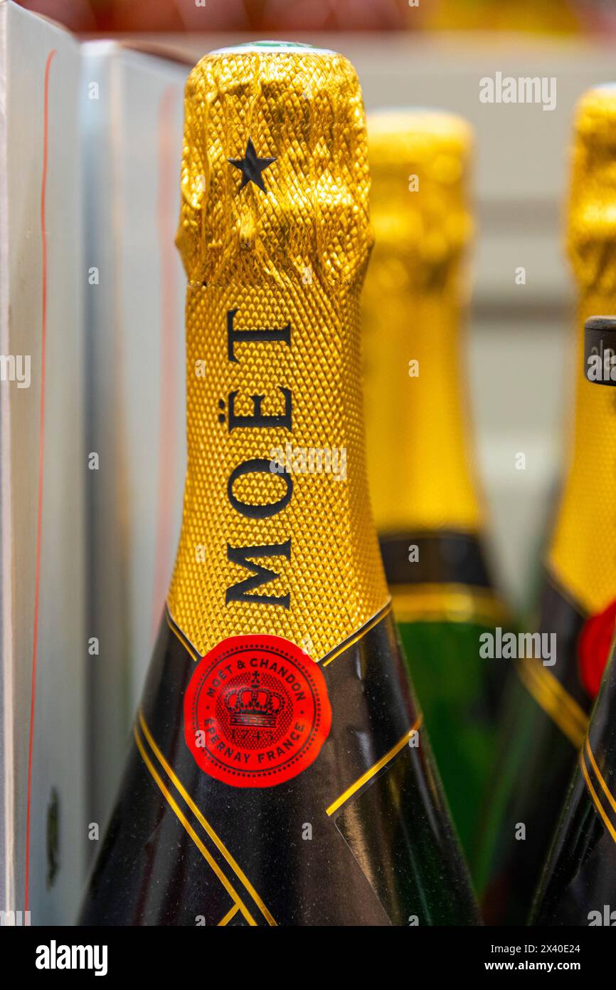 Seau à Champagne Moët & Chandon – Glacière Plastique, Occasion