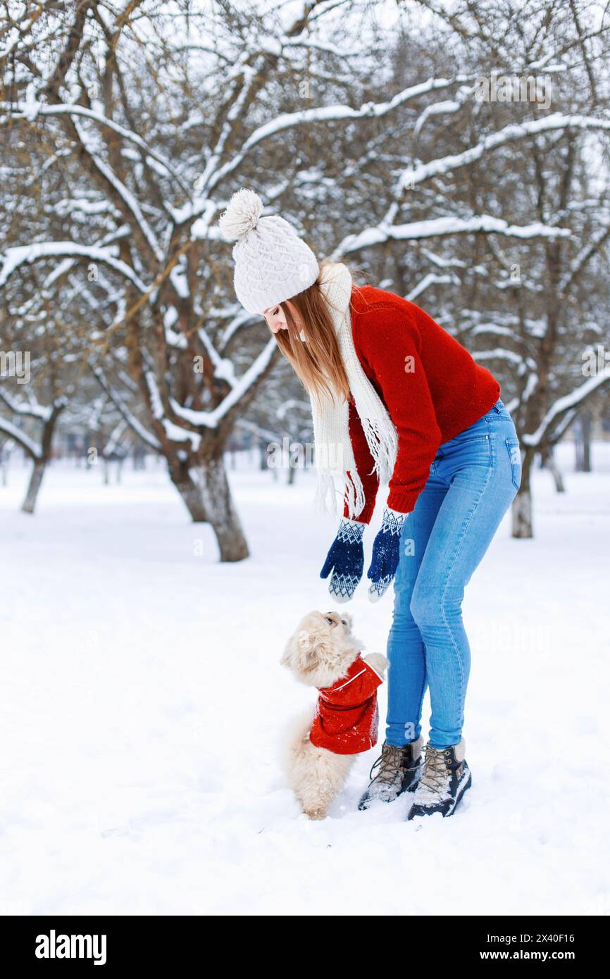 Cute Woman In A White Knitted Sweater Walking A Pekingese Puppy On A Winter Day On The Background Of The Park. Stock Photo