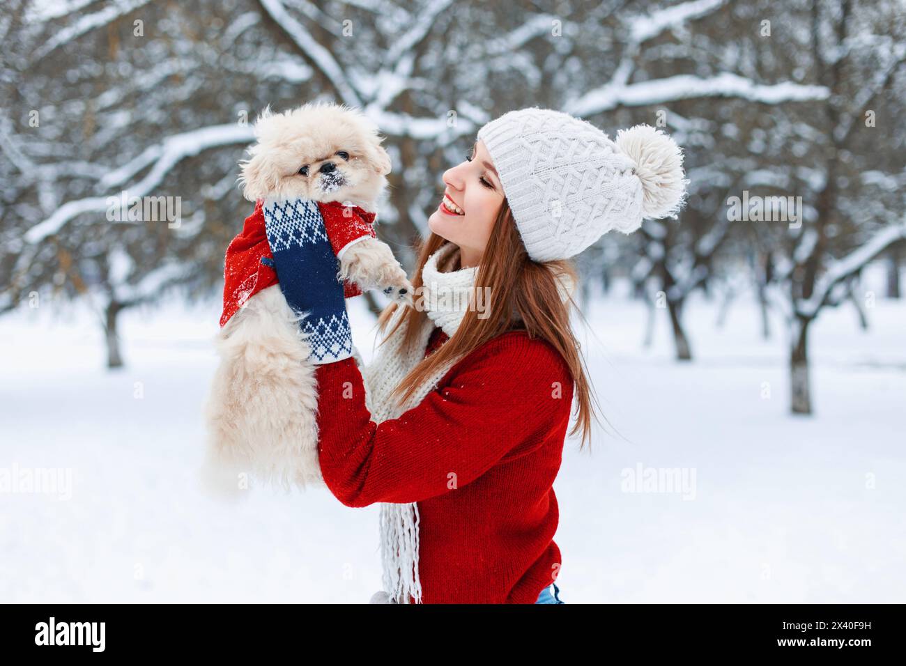 Young Beautiful Girl Holds Little Puppy In His Hands And Playing With Him. Stock Photo