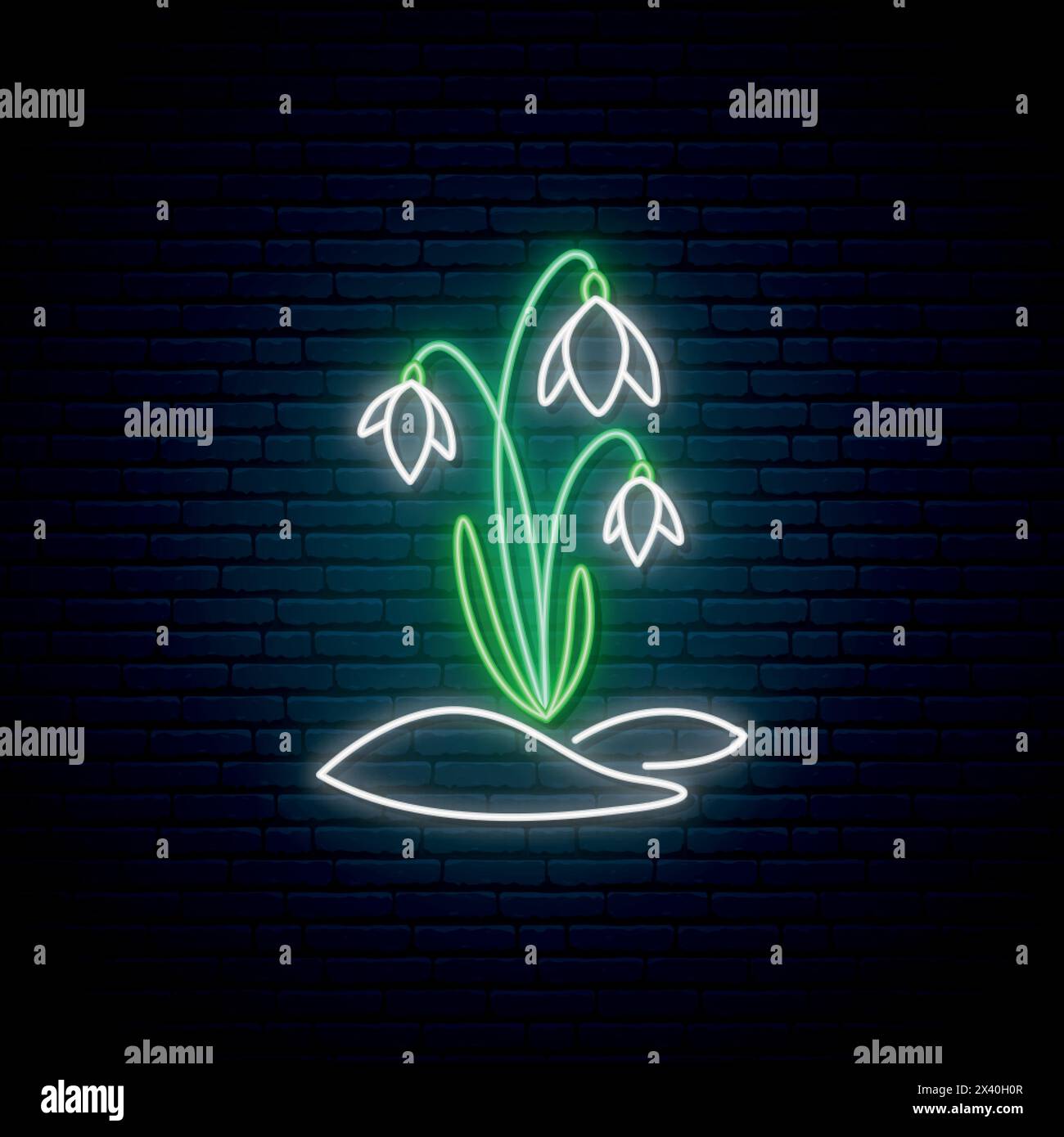 Snowdrops flowers neon sign. White flowers with green stems on dark ...