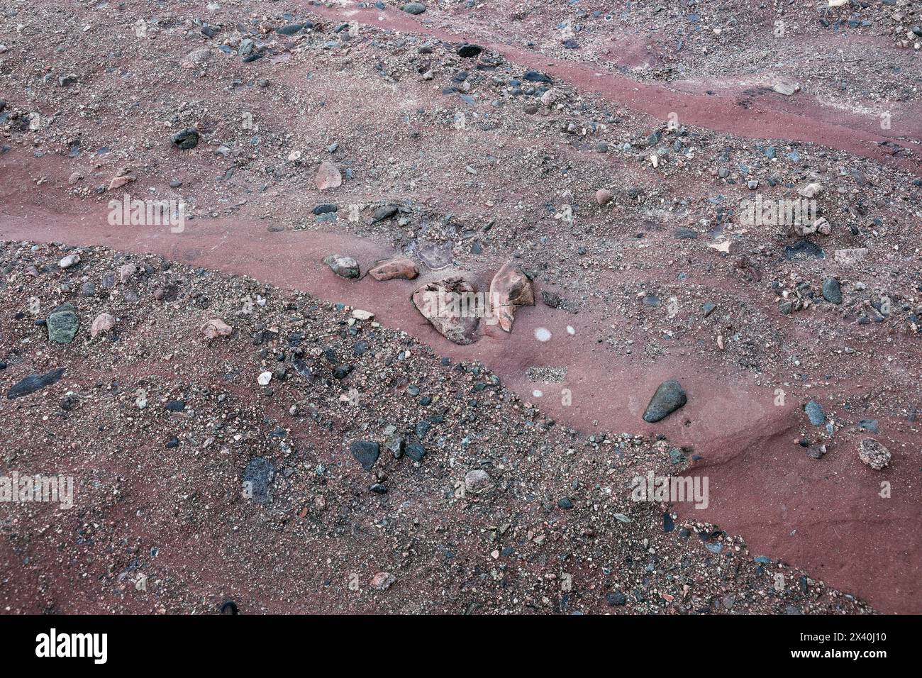 Red Sandstone Conglomerate Rock, Aberdour, Fife Coast, Scotland, UK Stock Photo