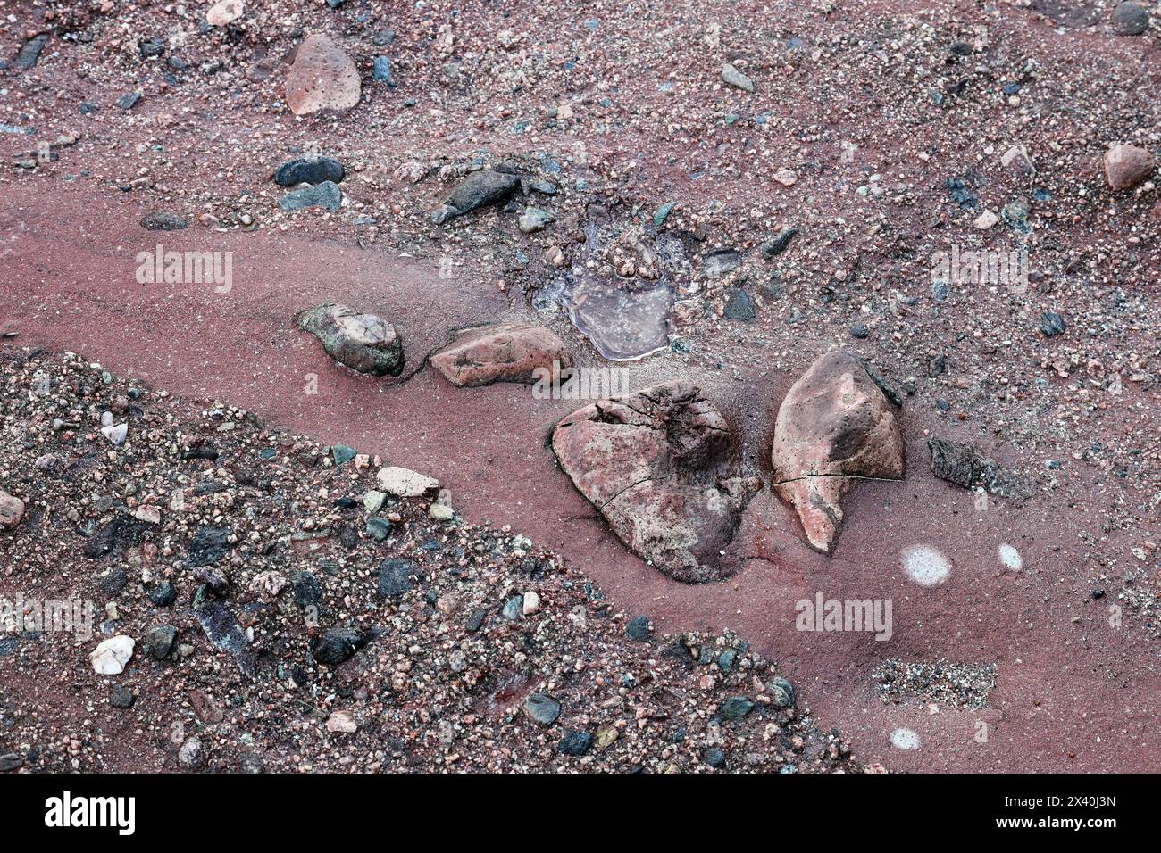 Red Sandstone Conglomerate Rock, Aberdour, Fife Coast, Scotland, UK Stock Photo