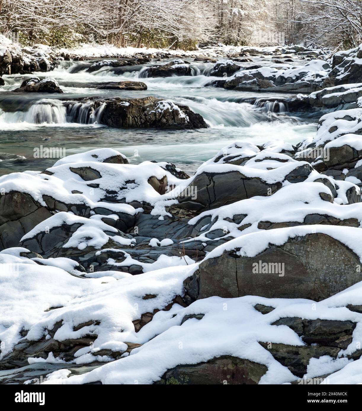 Snow-covered rock along river cascades of Little Pigeon River in Greenbrier in the Great Smoky Mountains Stock Photo