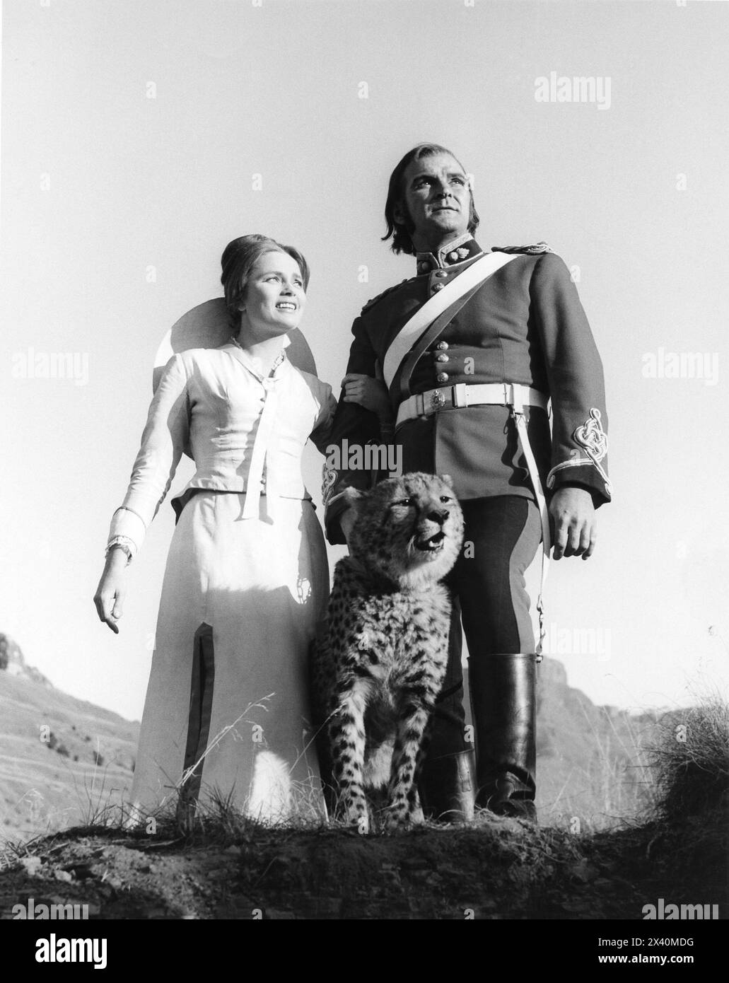 STANLEY BAKER and ULLA JACOBSSON with a cheetah on location for ZULU 1964 Director CY ENDFIELD Music JOHN BARRY Diamond Films / Paramount British Stock Photo