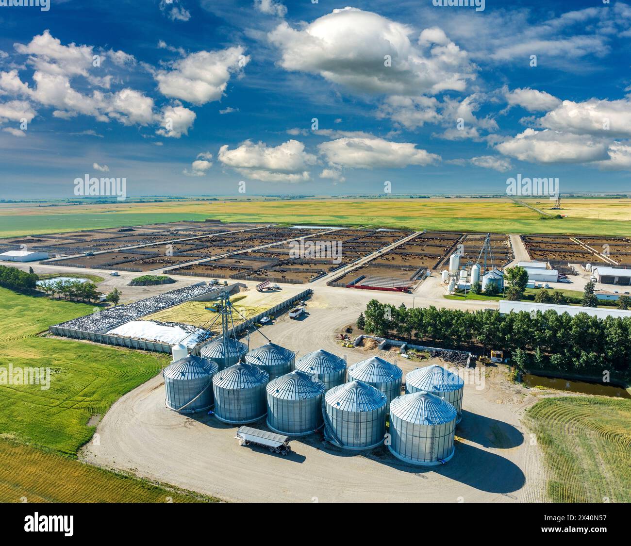 Aerial view of rows of large metal grain bins with cattle stockyard in