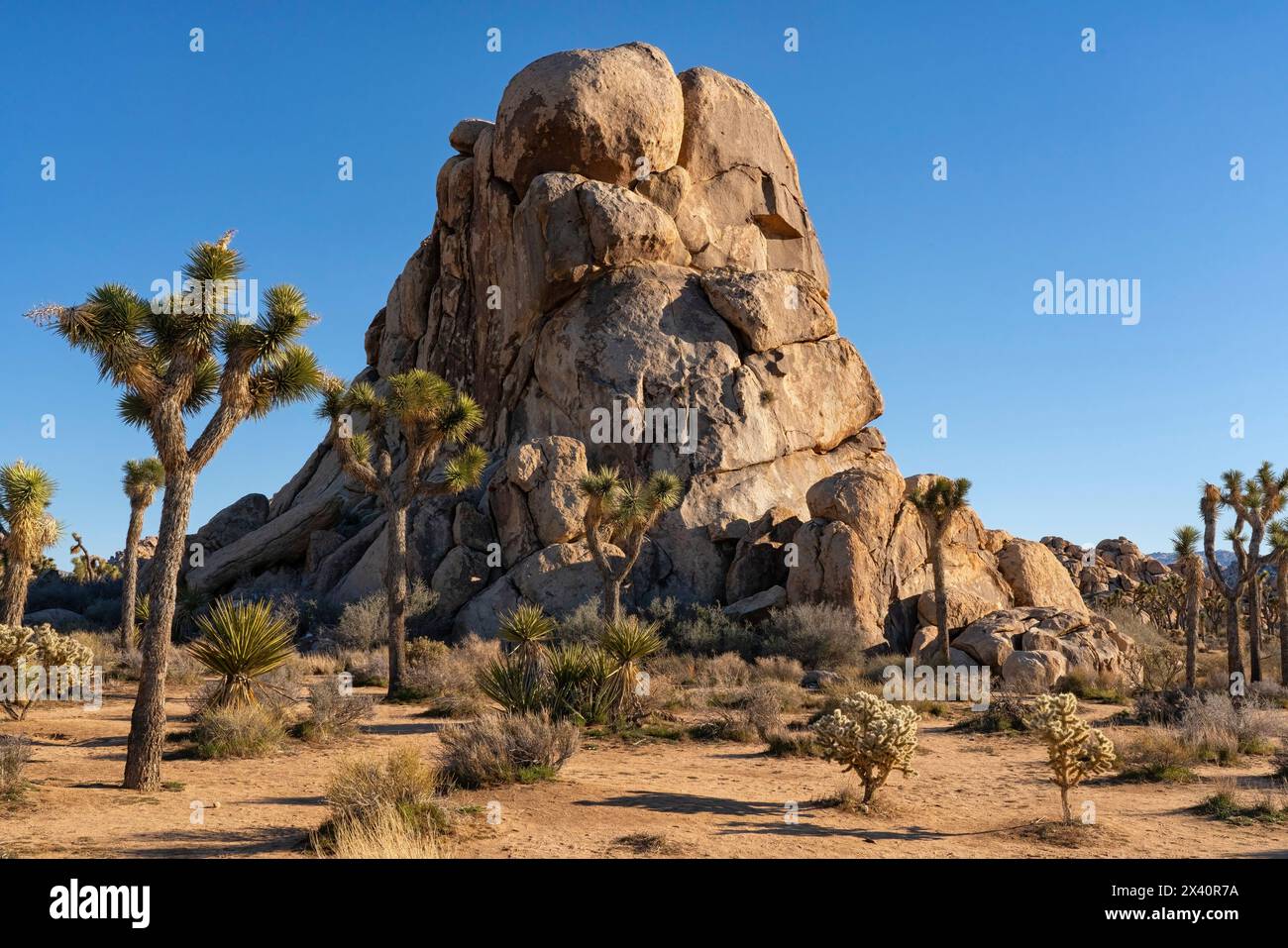 Striking rock formations in Joshua Tree National Park located in Southern California; Joshua Tree, California, United States of America Stock Photo